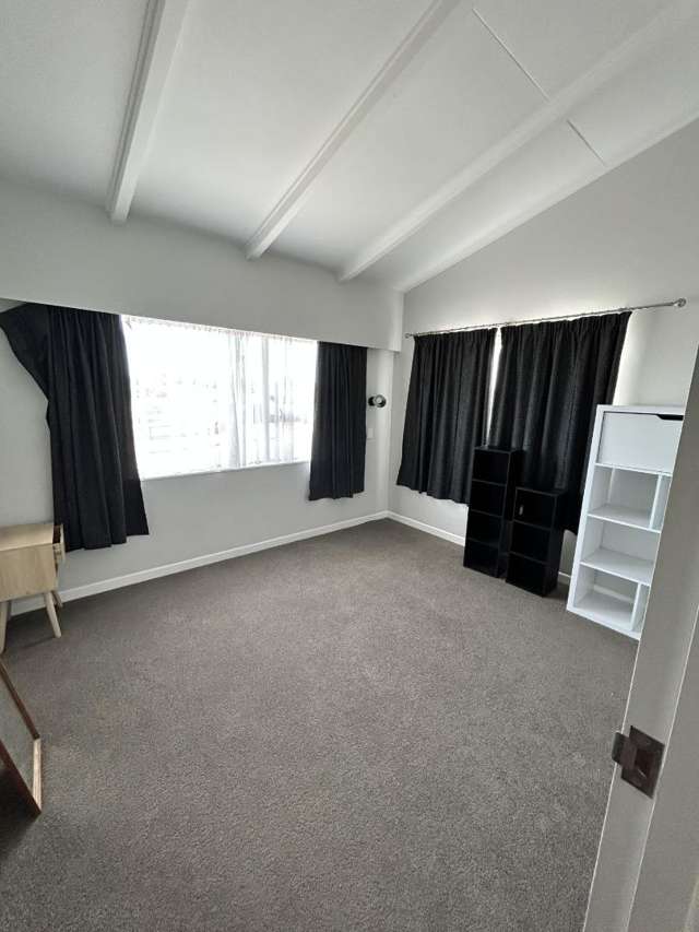 37 Oak Street Masterton_3