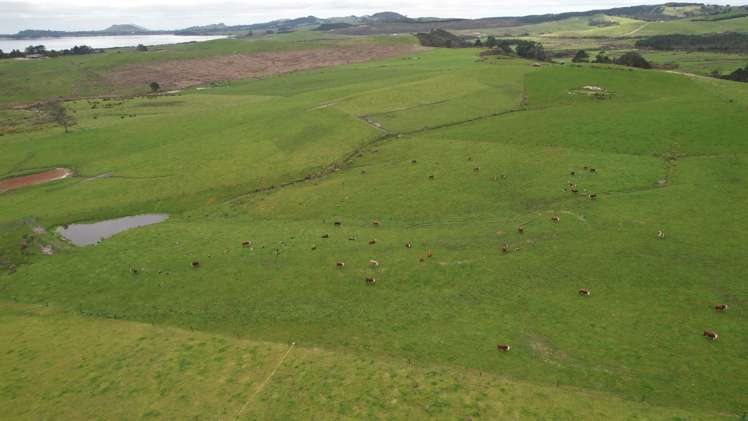 194 Toia Road Okaihau_13