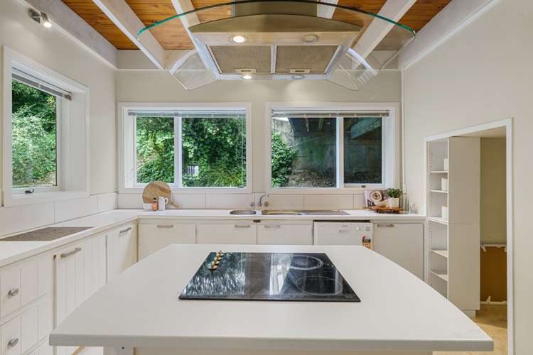 241 Cannon Hill Crescent Mount Pleasant_9