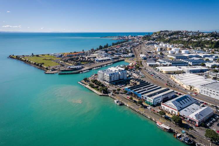 31 Coronation Street Ahuriri_21