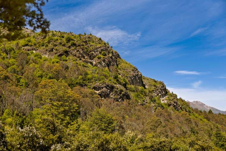 19 Haast Eagle Road Bobs Cove_10