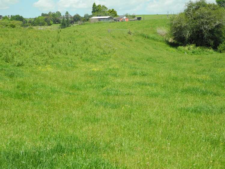 82 Pirongia Road Te Awamutu_7