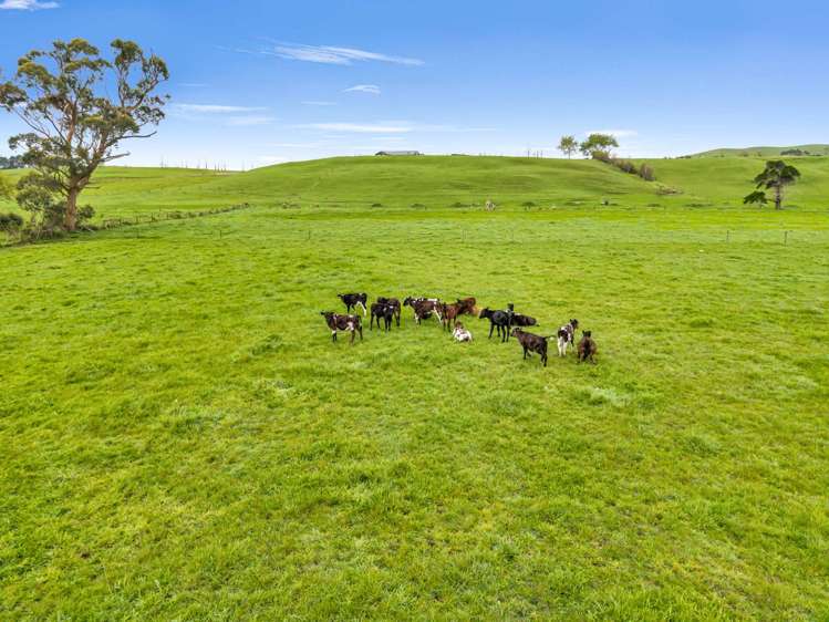 6320 State Highway 12 Arapohue Dargaville_15