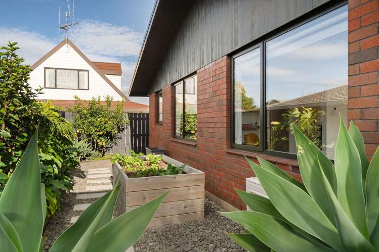 2/419 Maunganui Road Mount Maunganui_12