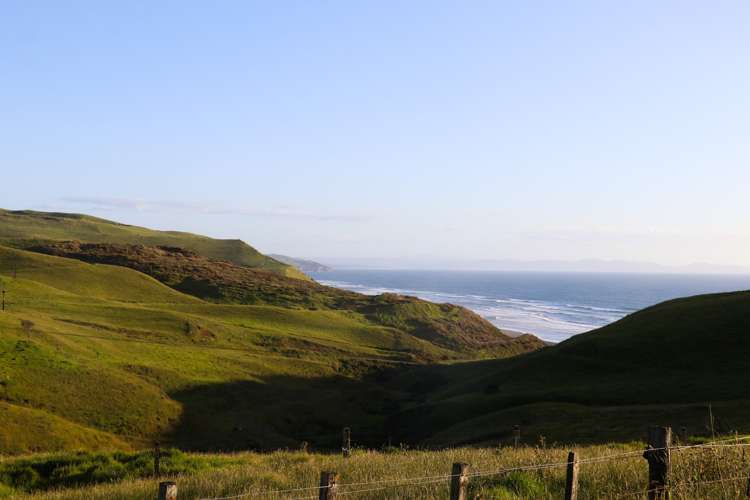 Whaanga Road Raglan_23