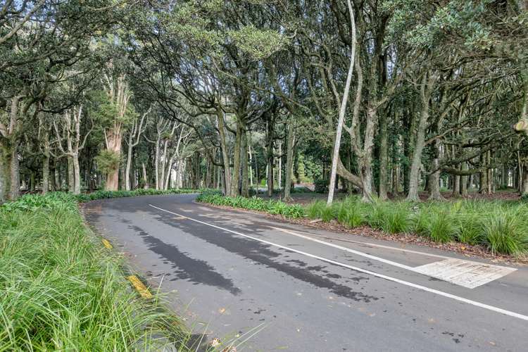 29 Stoney Hill Road Kamo_10