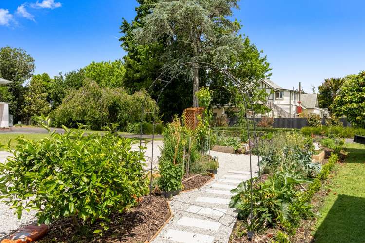 15A Hinaki Street Inner Kaiti_21