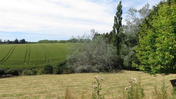 294 Fairview Road Fairview_17