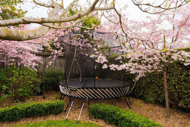 20 Carnarvon Street Belleknowes_28