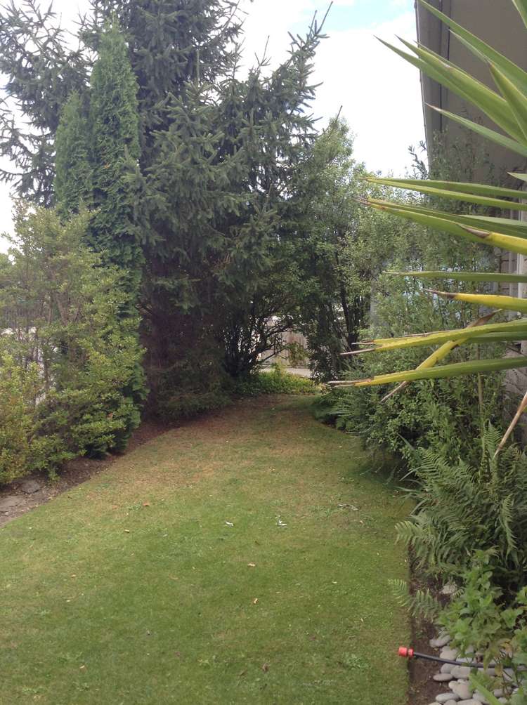 2/15 Wellington Street Hampstead_16