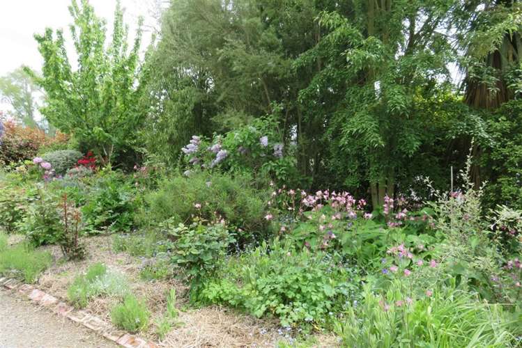 26 Julloch Road Orari_21