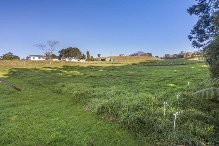 60 Saxton Road Upper Vogeltown_6
