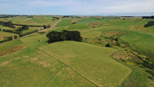 1138 Mataura Island-fortrose Road Waimahaka_4