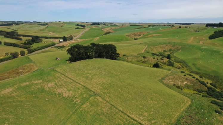 1138 Mataura Island-fortrose Road Waimahaka_4