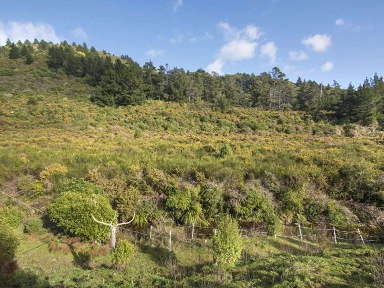 112 Boons Valley Road Waikawa_30