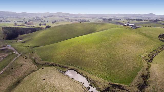 Taieri Peak Road Meadowbank_1