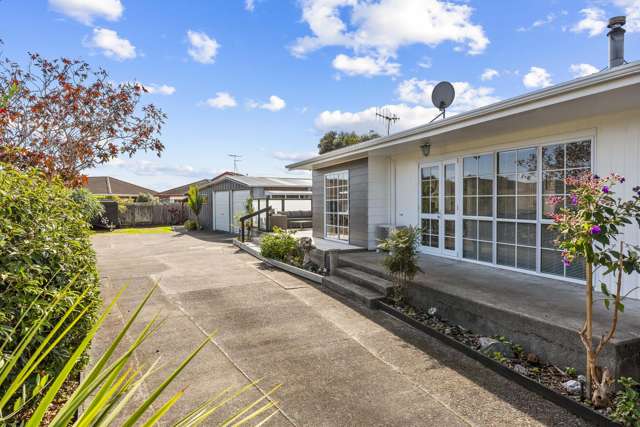 Absolute Winner - Paraparaumu Beach