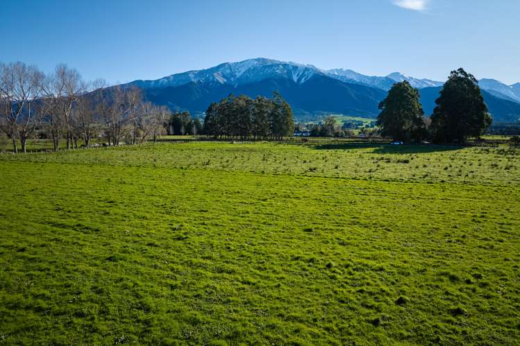 Schoolhouse Road Kaikoura_11