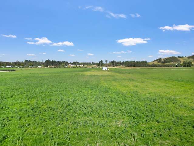 Knapdale Road Gore_3