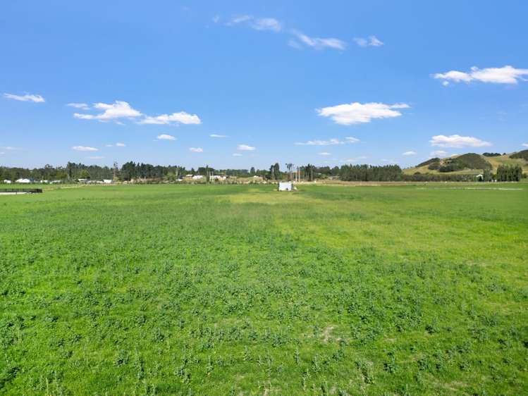 Knapdale Road Gore_3