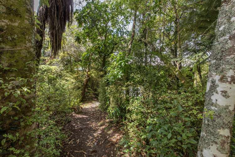 33 Hauraki Terrace_1