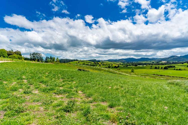 2116 Cove Road Mangawhai_5