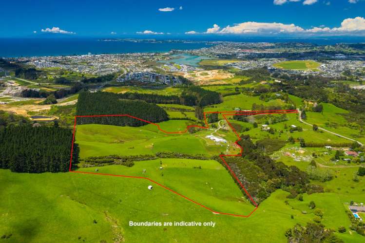 53b Russell Road Wainui_50