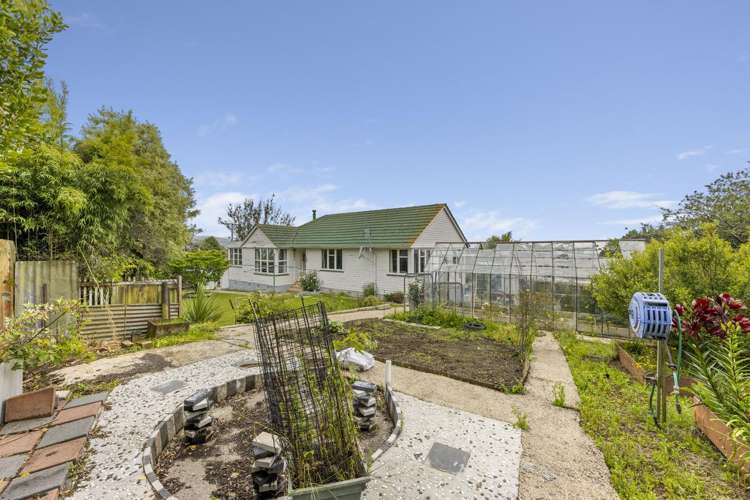 10 Thesis Street Halfway Bush_17