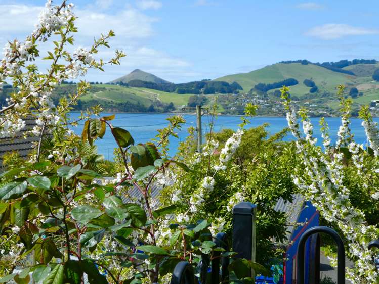 3 Kaka Road Saint Leonards_20