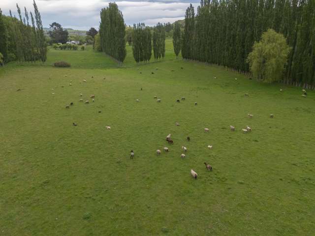 176 Campbells Road Waimate_2