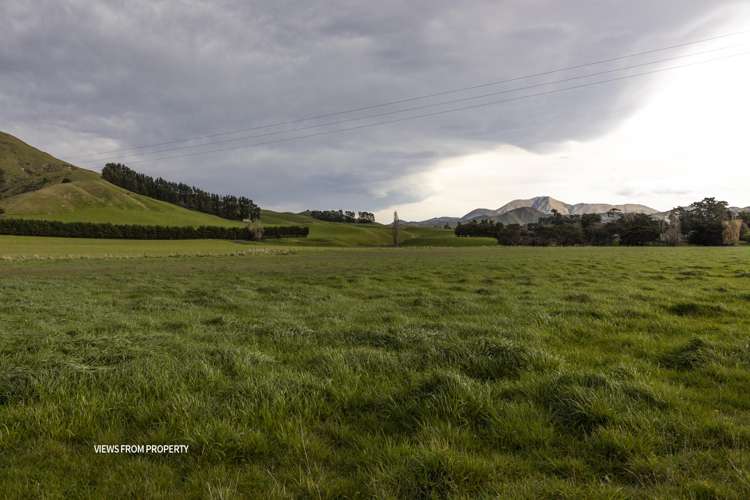 18 Clermont Street Ward_32