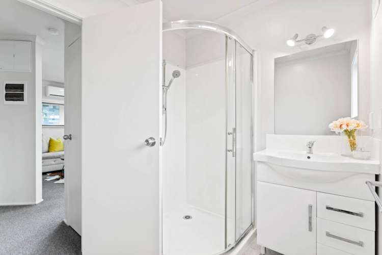 73 Wright Road Dairy Flat_29