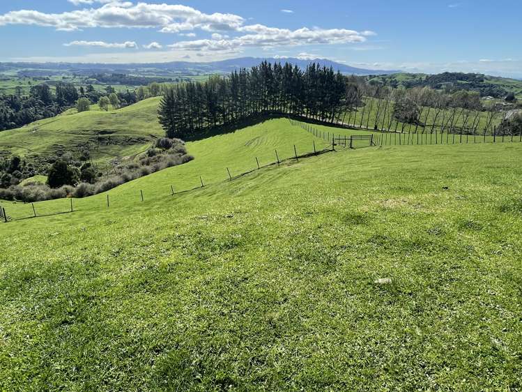 481 Honikiwi Road RD3 Otorohanga_14