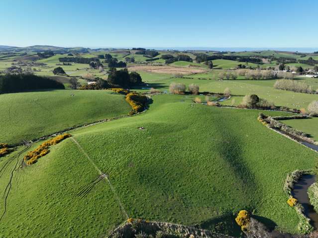 75 + 100 Crighton Road Waimahaka_4