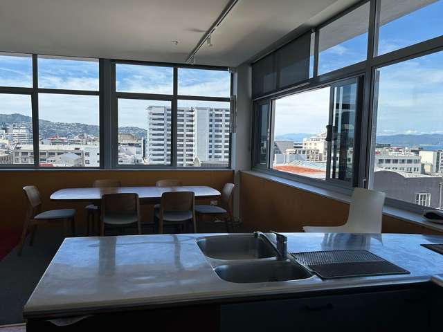 7C/130 Vivian Street Te Aro_4