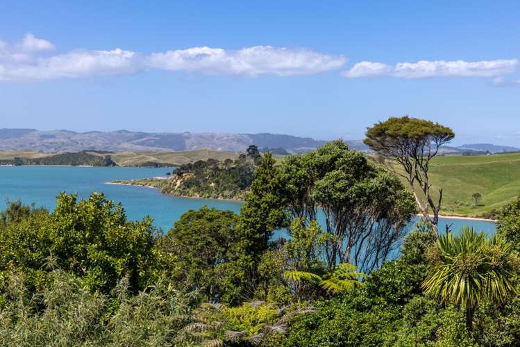 78B Greenslade Road Raglan_38