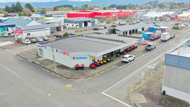 1 Holden Place Dannevirke_1
