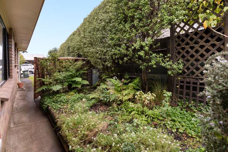 78a Princess Road Bellevue_14