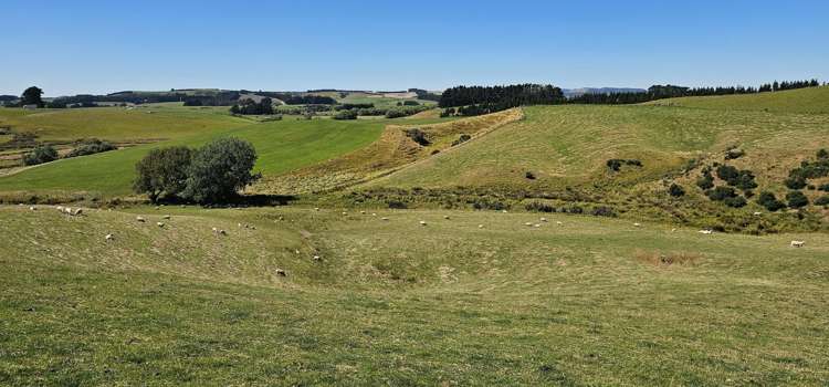 122 Middleton Road Waimahaka_18