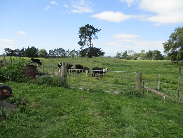 237 Kellow Road Rongotea_28