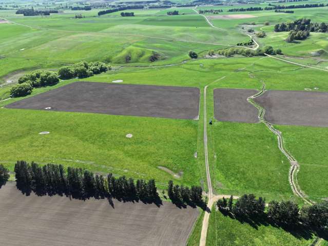 315 Patearoa Ranfurly Road Patearoa_3