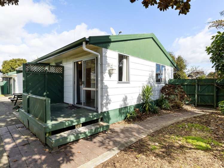 7 Mckinley Place Nawton_15
