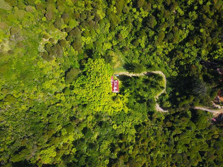 Te Karoa Road Peria_25