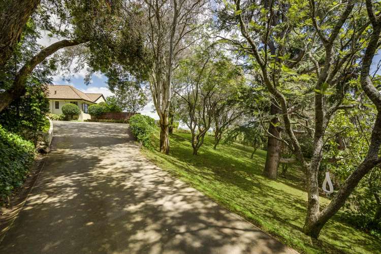 44 Busby Hill Havelock North_29
