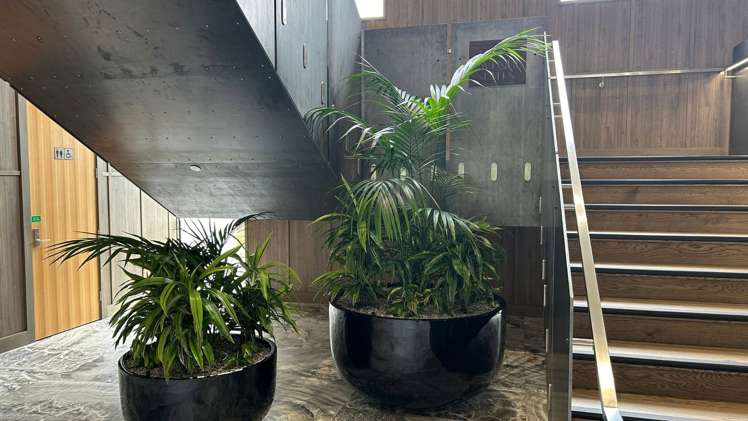  1/12 Twelfth Avenue Lake Hayes Estate_5