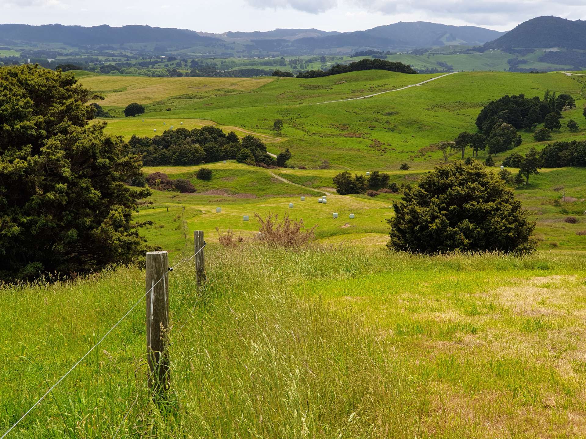 121 Whakapirau Road Maungaturoto_0