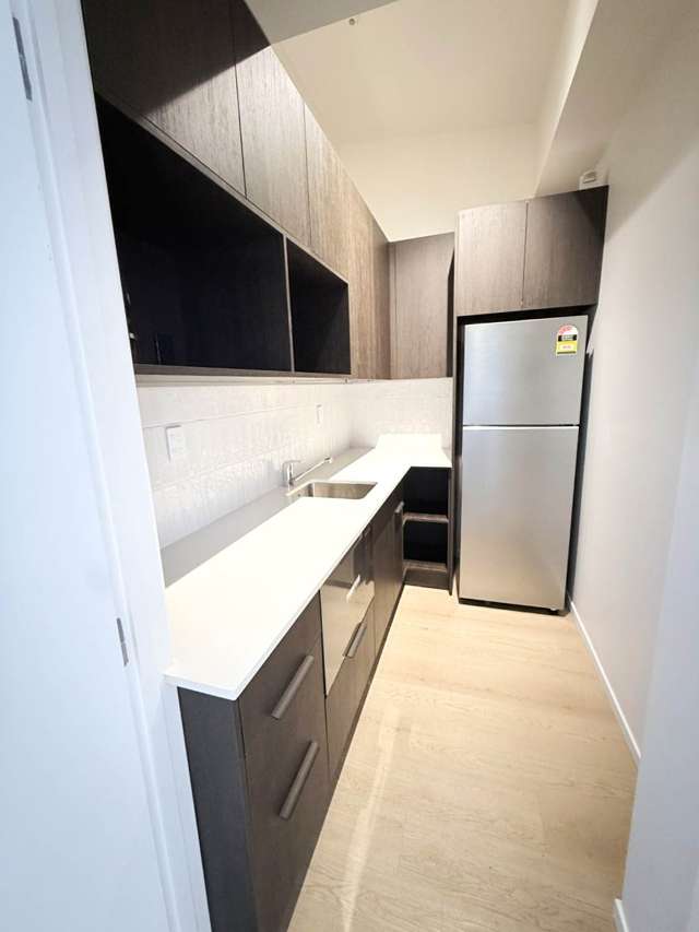 36 Williamson Avenue Grey Lynn_3
