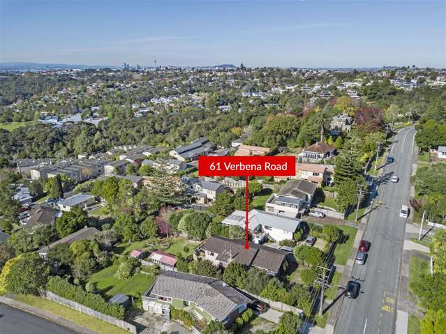 61 Verbena Road Birkdale_3