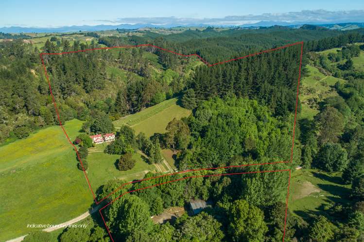 219 Lloyd Valley Road Thorpe_19