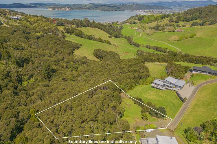 7 Tironui Place Whitianga_0